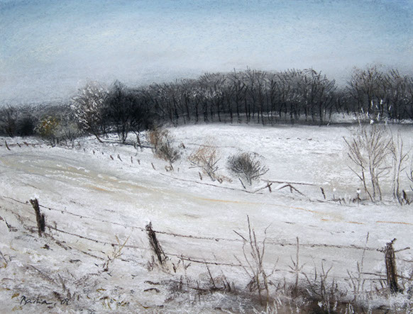 20080212_6009