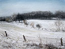 20080212_6009