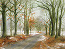 20091110_0074 bearb