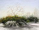 20090126_12617
